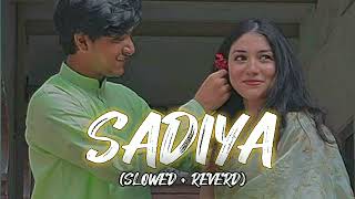 SADIYA  SLOWED REVERDPAWAN SINGH pawnsahu trindingviralvideo [upl. by Niarb594]