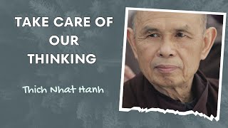 Thich Nhat Hanh  Take Care Of Our Thinking [upl. by Ydospahr]