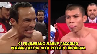 Petinju Indonesia Taklukkan Penumbang Manny Pacquiao [upl. by Eseuqcaj]