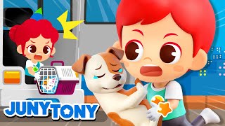 Animales al Rescate 🚨 Veterinarios 🩺 MIX 🌈 Canciones Infantiles  JunyTony en español [upl. by Ahsiuqet]