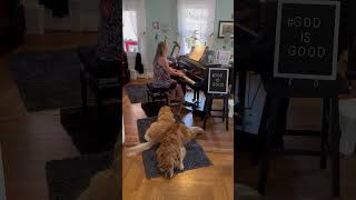 Heavenly Blue by Tom Gerou Primary 2 NFMC 20242028piano pianosolo relaxingvideo pianocover [upl. by Santoro]