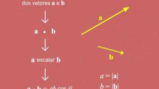 35 Multiplicação de vetores  Prof Anderson Aula de Física em Flash [upl. by Esiuqram242]