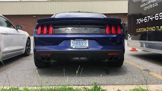 Shrader Cammed Idle lope tune S550 Mustang [upl. by Adnilrev259]