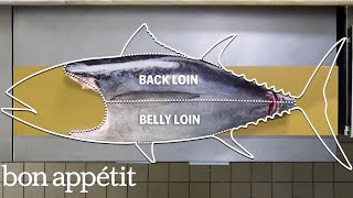 How To Butcher a Whole Tuna Every Cut of Fish Explained  Handcrafted  Bon Appétit [upl. by Materse]