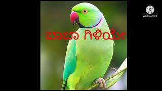 Baa Baa Giliye Kannada poem  Kannada Rhyme Baa Baa Giniye Kannada Rhyme singing [upl. by Anala321]