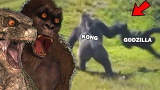 FUNNIEST Godzilla vs Kong MEMES with KONG [upl. by Oeak]