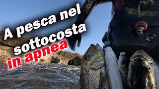 A PESCA nel SOTTOCOSTA in APNEA  Michele Giurgola [upl. by Kondon]