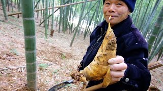 CHINESE STREET FOOD  BAMBOO HUNTING  Village Food tour in China  EXOTIC Street Food in China [upl. by Novyar]