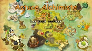 DOFUS Alchimiste  Les deux maps cachées remplies de plantes UPDATE [upl. by Oner]