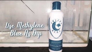 Methylene Blue As Dip [upl. by Electra]