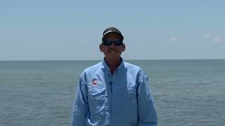 Texas Fishing Tips Fishing Report 71124 Port Aransas Area With Capt Monte Graham [upl. by Akibma]