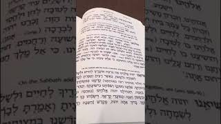 Chazan Nathan Gluck  Nusach Yom Tov Amida Part 1 [upl. by Eirollam668]