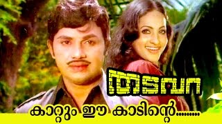 Kadum Ee Kaadinte  Thadavara  Superhit Malayalam Movie Song [upl. by Sairtemed]