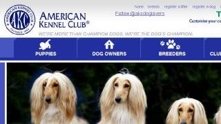 HowTo Register A Litter With The American Kennel Club [upl. by Lupita]