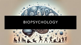 Understanding Biopsychology [upl. by Lila]