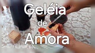 Como fazer geleiade amora [upl. by Rebak52]