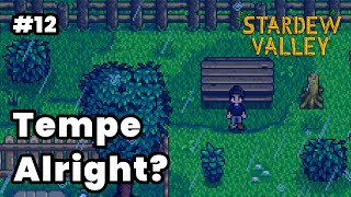 Tempe apa yang gapapa  Stardew Valley PC [upl. by Hurst]