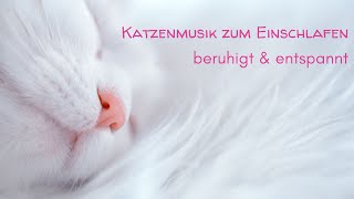 Katzenmusik zum Einschlafen Nr2  beruhigend und entspannend für Katzen amp ihre Freunde [upl. by Nitsuj745]