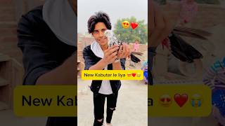 Aaj new Kabutar le liya 😍❤️😭 minivlog viral shorts [upl. by Robb110]