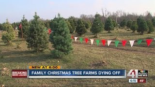 Family Christmas tree farms dying off [upl. by Roarke]