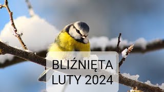 BLIŹNIĘTA luty 2024  nowe uczucie romans i praca [upl. by Kaila]