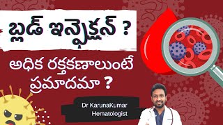 Blood Infection  High White blood cells  Sepsis  Facts  Dr Karuna Kumar  Hematologist [upl. by Aymik959]