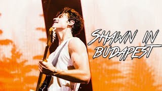 Shawn Mendes in Budapest Sziget Festival  Insta Stories  editsxannie [upl. by Eecart]