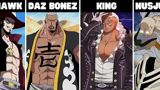 EVERY Zoro Fight in One Piece Explained [upl. by Yessac]