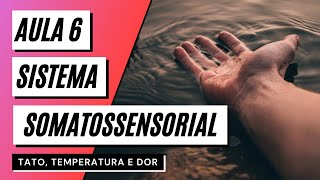 Videoaula 6 Sistema somatossensorial  TATO TEMPERATURA E DOR SENTIDOS SOMÁTICOS [upl. by Rasia]