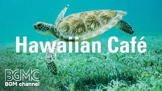 Hawaiian Cafe Caribbean Tropical Island Music  Music for Happy Holiday in a Beach [upl. by Trebreh585]