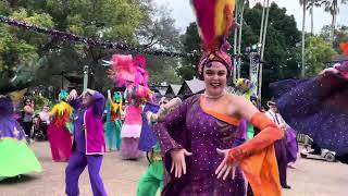 Mardi Gras Parade 2024  Busch Gardens Tampa Bay [upl. by Harmonie]