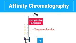 Affinity Chromatography With Animation [upl. by Arocahs]