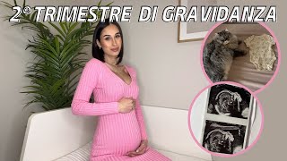 SECONDO TRIMESTRE della mia PRIMA GRAVIDANZA  Primi Movimenti Sintomi Reflusso 🤰🏻 [upl. by Aicala]