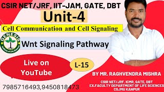 Wnt Signaling Pathway  Wntβcatenin pathway  Cell Communication amp Cell Signaling L 14 Unit4 [upl. by Silyhp]