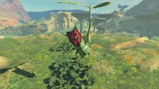 Korok seeds  Seres Scablands  Ridgeland Tower 19202122  Zelda BOTW [upl. by Pollux633]