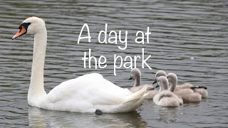 A Day at the park [upl. by Alarick]