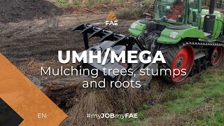 Forestry mulcher at work with a FENDT tracked tractor [upl. by Haynes937]