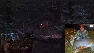 AWESOME PreRut Whitetail Buck Bow Harvest  Target Buck Miss  North GA Whitetails  All Day Sit [upl. by Ainahs]