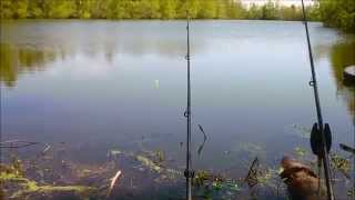 Fishing for Yellow Cats Black Bullheads at an old pond [upl. by Renba579]