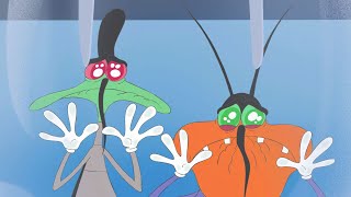 हिंदी Oggy and the Cockroaches 😱 वे खाए जा रहे हैं 😱 Hindi Cartoons for Kids [upl. by Adalia]