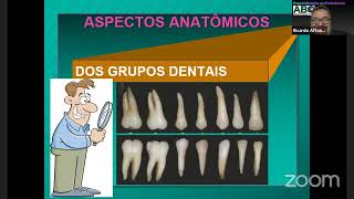 AULA Anatomia Cavidades Pulpares  Prof Dr Clovis Bramantes [upl. by Irehs164]