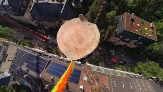 Baumpflege Simon felling a dead tree￼ with a liebherr MK140 crane 🌳 musfeld MSchweizer basel [upl. by Tav]