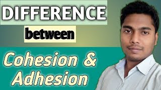 Difference between Cohesion and Adhesion [upl. by Enasus583]