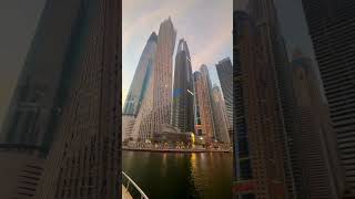 Cayan Tower Dubai 🇦🇪 shorts youtubeshorts shortvideo [upl. by Aylatan]