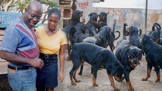 Dad and Daughter Face Their Fears at Overflowing Rottweiler Kennel with 70 Dogs [upl. by Bailar]