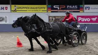 Fahrturnier Emlichheim 26102024 Euregio Cup [upl. by Yrrej]