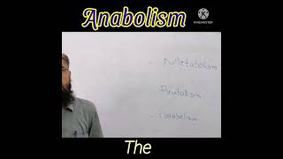 Metabolism  Anabolism  Catabolism [upl. by Kiele859]