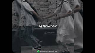 Obata Nohaka slowedreverb [upl. by Ennahgiel]