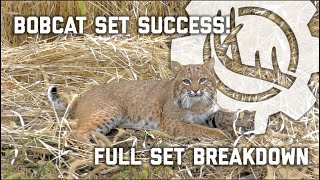 How To Make Sets For Bobcats [upl. by Brook]