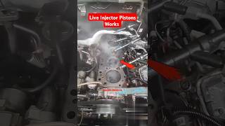 How to Working Pistons Injector shorts youtubeshorts working pistons injector [upl. by Beeson]